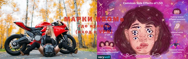 ПСИЛОЦИБИНОВЫЕ ГРИБЫ Арсеньев