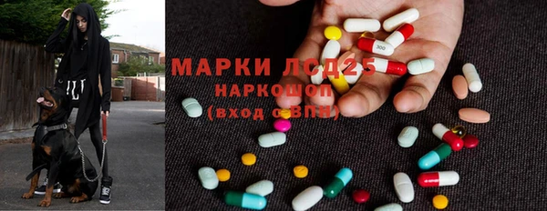 дурь Аркадак