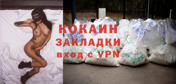 ПСИЛОЦИБИНОВЫЕ ГРИБЫ Арсеньев