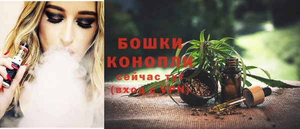 ПСИЛОЦИБИНОВЫЕ ГРИБЫ Арсеньев